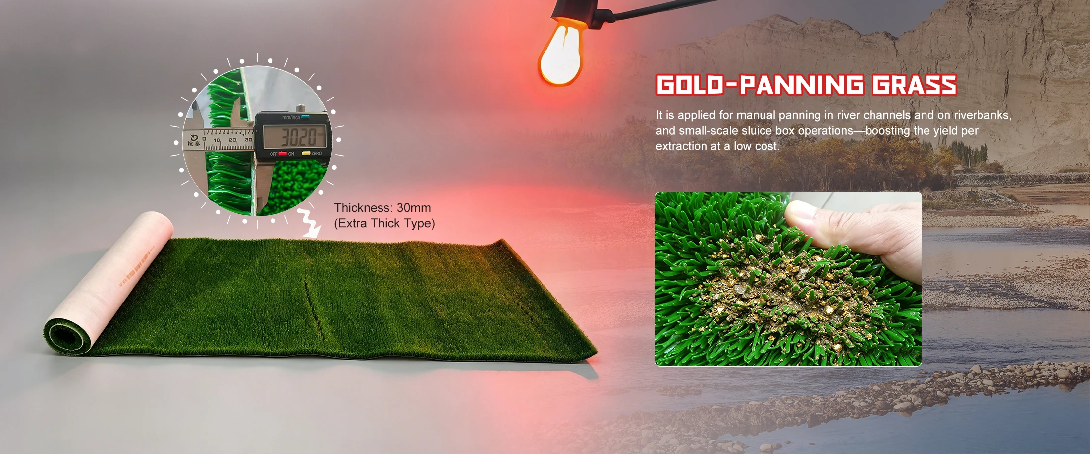 China Gold-panning Grass Κατασκευαστής και Προμηθευτής