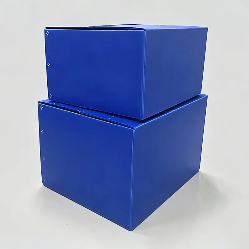 Τυπικό PP Hollow Sheet Turnover Box
